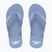 Мъжки джапанки Speedo Flip Flop curious blue