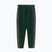 Мъжки спортни панталони Pitbull bottle green