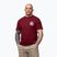Мъжка тениска Pitbull Dog SD burgundy