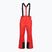 Мъжки скиорски панталони 4F Fnk M1155 red
