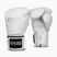 Боксови ръкавици StormCloud Muay Thai Blizzard 2.0 white/silver