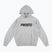 Мъжки суитшърт PROSTO Biolog Hoodie gray