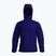 Мъжко изолирано яке Arc'teryx Atom Hoody soulsonic