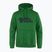 Мъжки суитшърт Fjällräven Logo Hoodie palm green