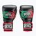 Боксови ръкавици Cleto Reyes Velcro Sparring black/red/white green red