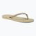 Дамски джапанки Havaianas Slim sand grey / light golden