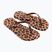 Дамски джапанки Ipanema Animal Print beige/bronze/bronze