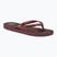 Мъжки джапанки Havaianas Top Tribo dark brown