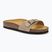 Дамски чехли Scholl Estelle Sue dark beige
