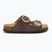 Дамски джапанки Scholl Noelle Syntetic Reptile brown