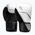 Боксови ръкавици Hayabusa E1 Boxing white/silver