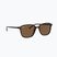 Слънчеви очила Ray-Ban Leonard tortoise/brown polarized