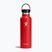 Hydro Flask Standard Flex 620 ml бутилка за пътуване с годжи