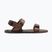 Мъжки сандали за боси крака Xero Shoes D-Trail cocoa brown/java brown