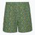 Мъжки панталони за трекинг Royal Robbins All-In algae flash pt