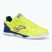 Мъжки футболни обувки Joma Top Flex Rebound IN yellow/royal