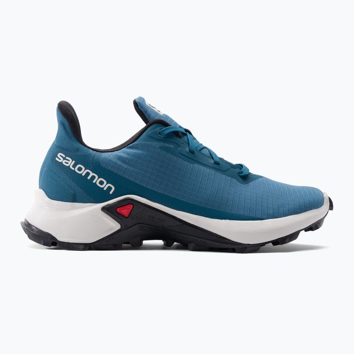 Мъжки обувки за пътеки Salomon Alphacross 3 blue L41599700 2