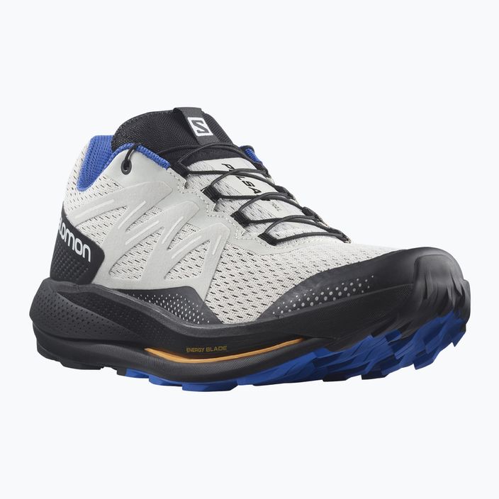 Salomon Pulsar Trail мъжки обувки за трейлър сиви L41602700 10
