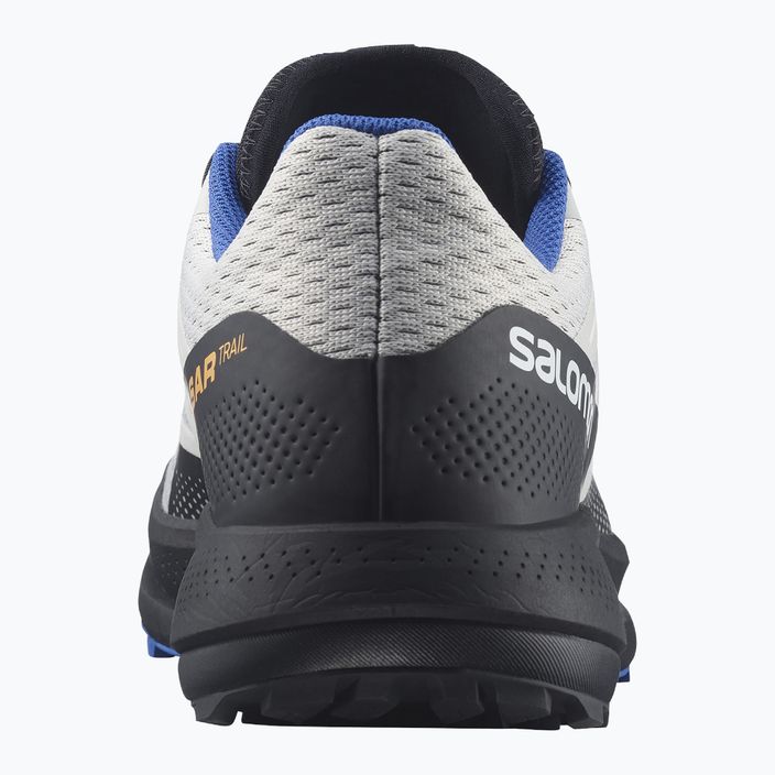 Salomon Pulsar Trail мъжки обувки за трейлър сиви L41602700 13
