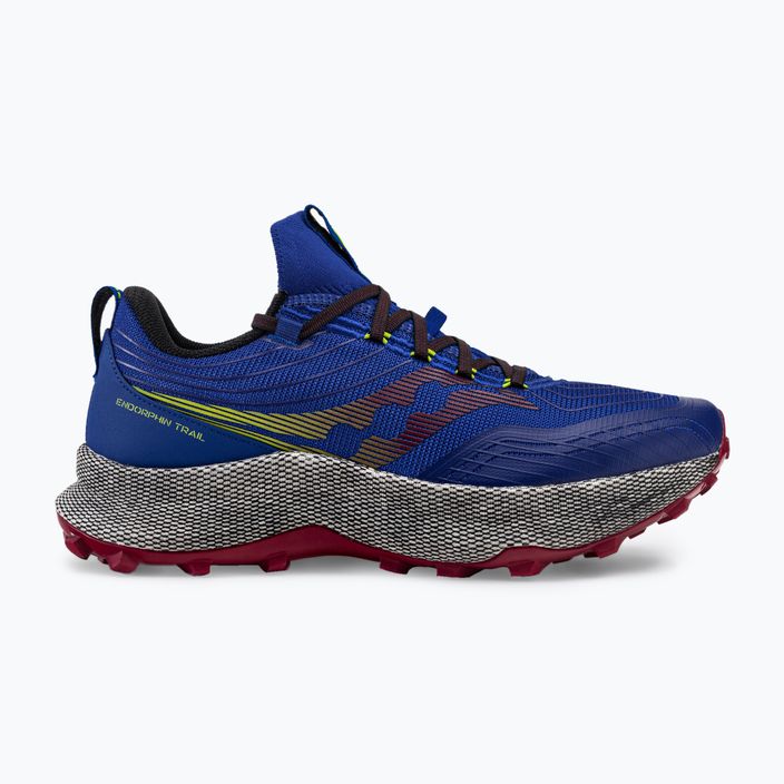 Мъжки обувки за бягане Saucony Endorphin Trial blue S20647 2