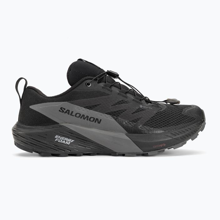 Мъжки обувки за бягане Salomon Sense Ride 5 GTX black/magnet/black 2