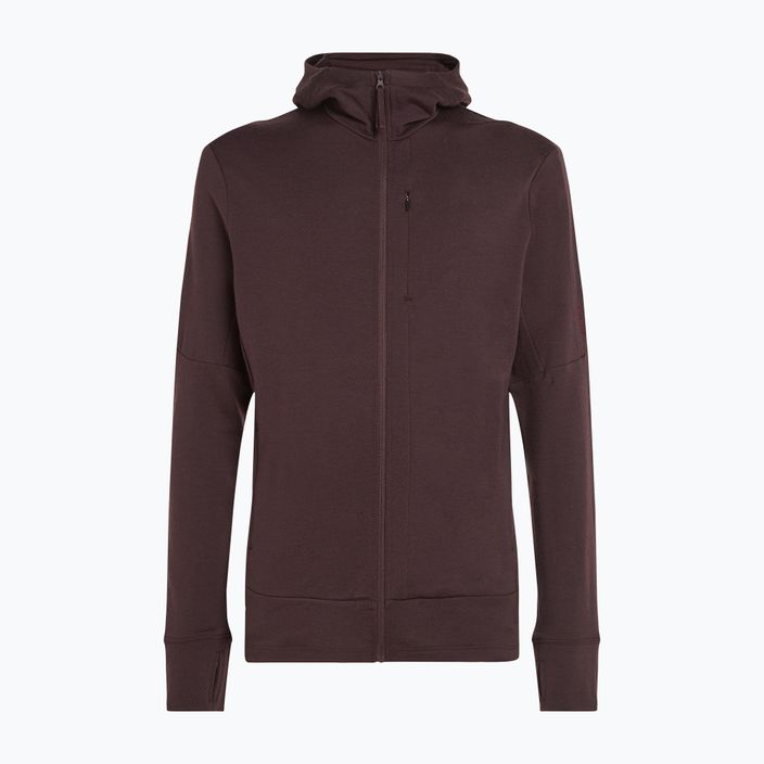 Мъжки потник Icebreaker Merino 260 Quantum IV Zip Hoodie bittersweet 11