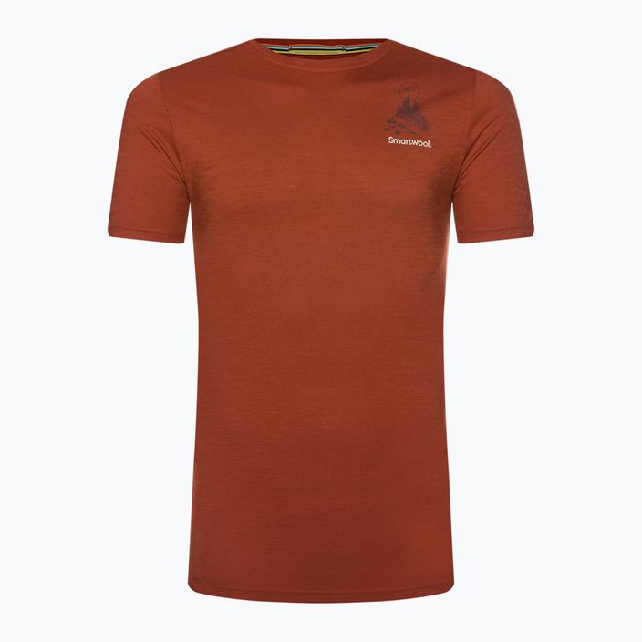 Мъжка тениска Smartwool Wilderness Summit Graphic Tee brown trekking shirt 16673 4