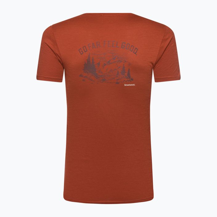 Мъжка тениска Smartwool Wilderness Summit Graphic Tee brown trekking shirt 16673 5