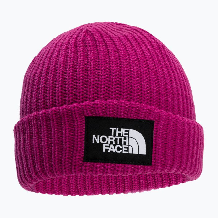 Шапка The North Face Salty Dog pink NF0A7WG81461 2