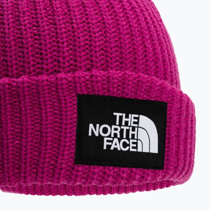 Шапка The North Face Salty Dog pink NF0A7WG81461 3