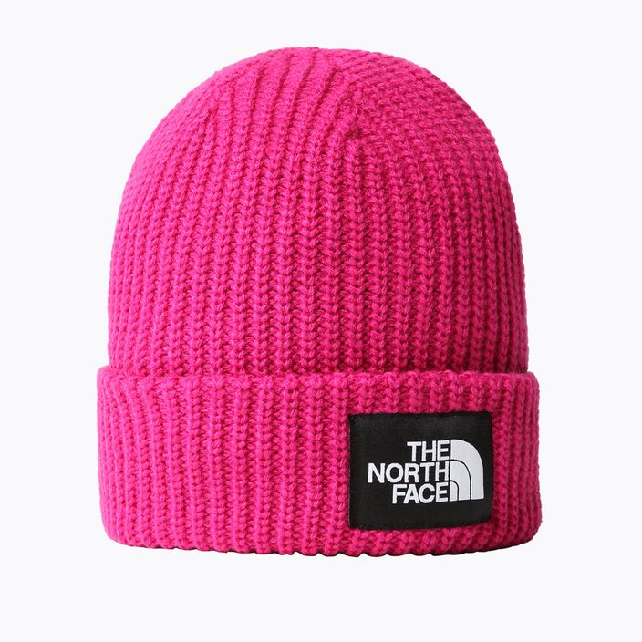 Шапка The North Face Salty Dog pink NF0A7WG81461 4