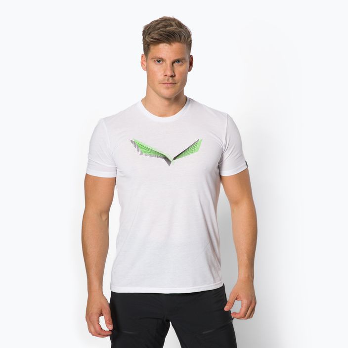 Мъжка тениска за трекинг Salewa Lines Graphic Dry бяла 00-0000028065
