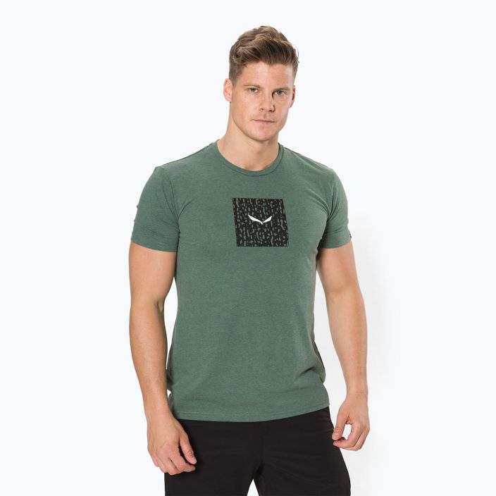 Salewa Pure Box Dry мъжка риза за трекинг зелена 00-0000028378