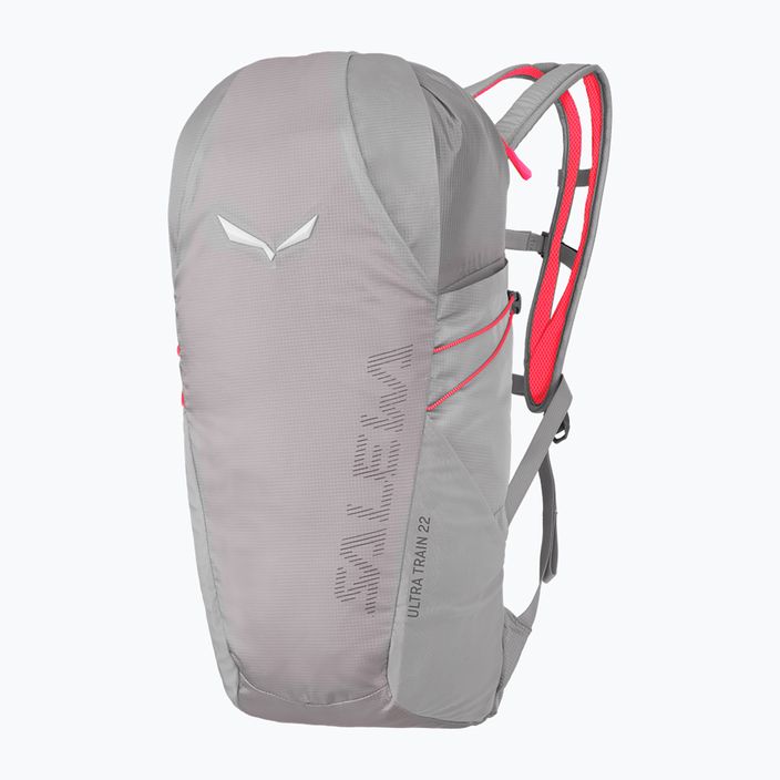 Туристическа раница Salewa Ultra Train 22 l alloy