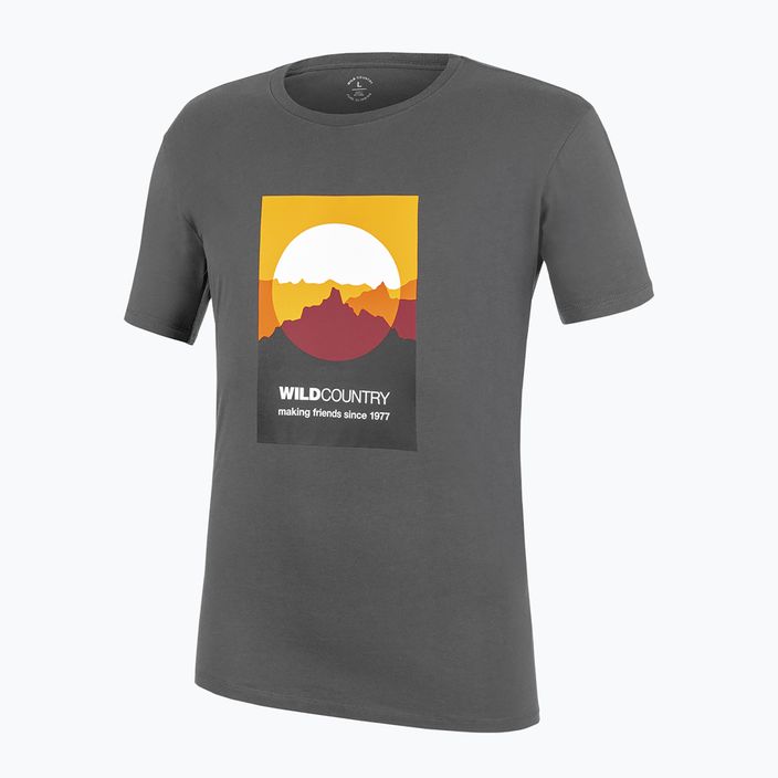 Мъжка тениска за катерене Wild Country Heritage сива 40-0000095240 4