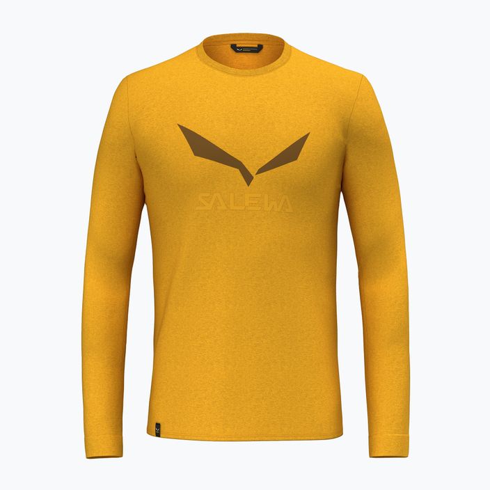 Мъжки ръкав Salewa Solidlogo Dry gold trekking longsleeve