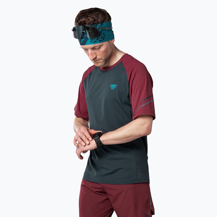 Мъжка тениска за бягане DYNAFIT Alpine Pro blueberry/burdony