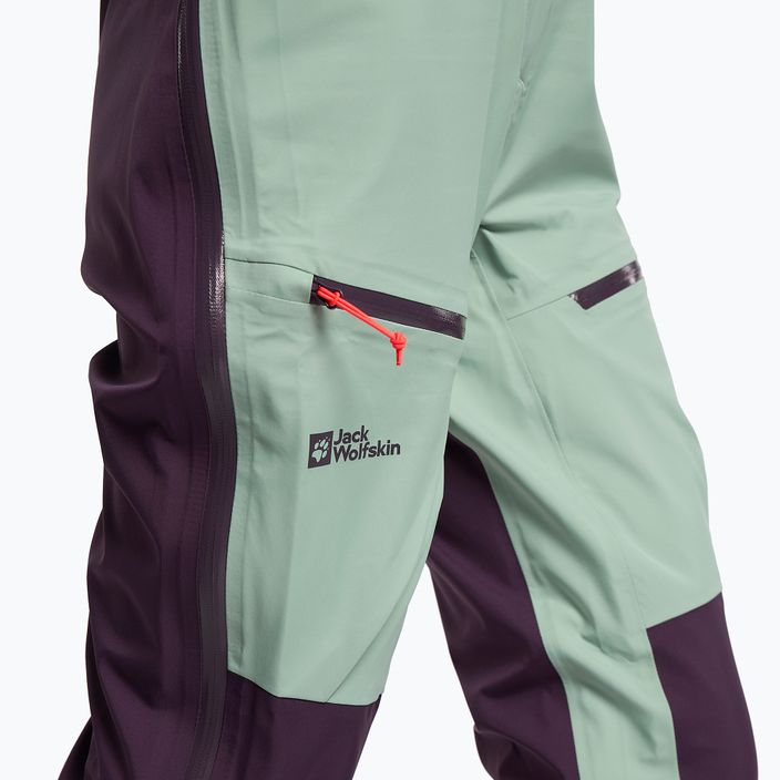 Дамски ски панталон Alpspitze 3L Jack Wolfskin зелен 1115211 6