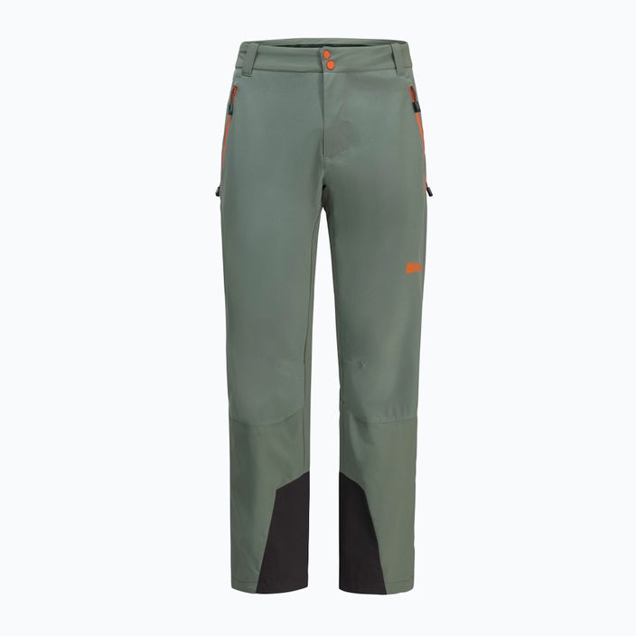 Мъжки панталони за трекинг Alpspitze Tour hedge green от Jack Wolfskin 10