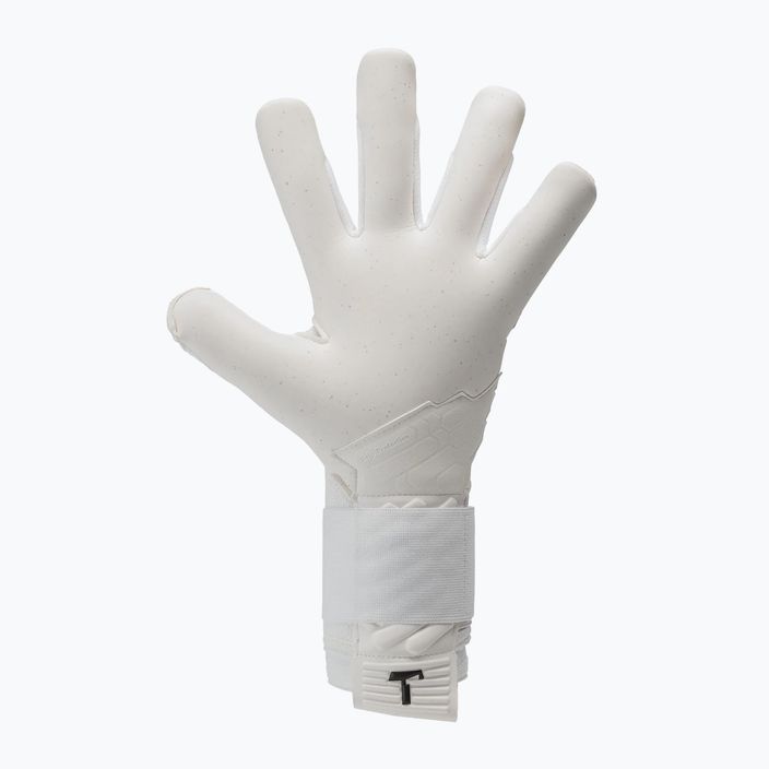 T1TAN Ice Beast 2.0 Вратарски ръкавици бяло и синьо 201905 5