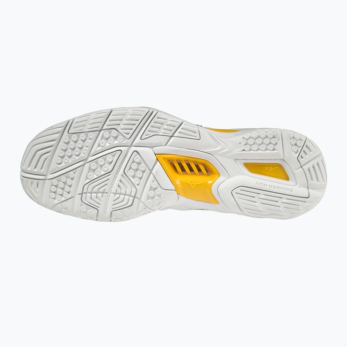 Мъжки обувки за хандбал Mizuno Wave Stealth V white X1GA180013 15