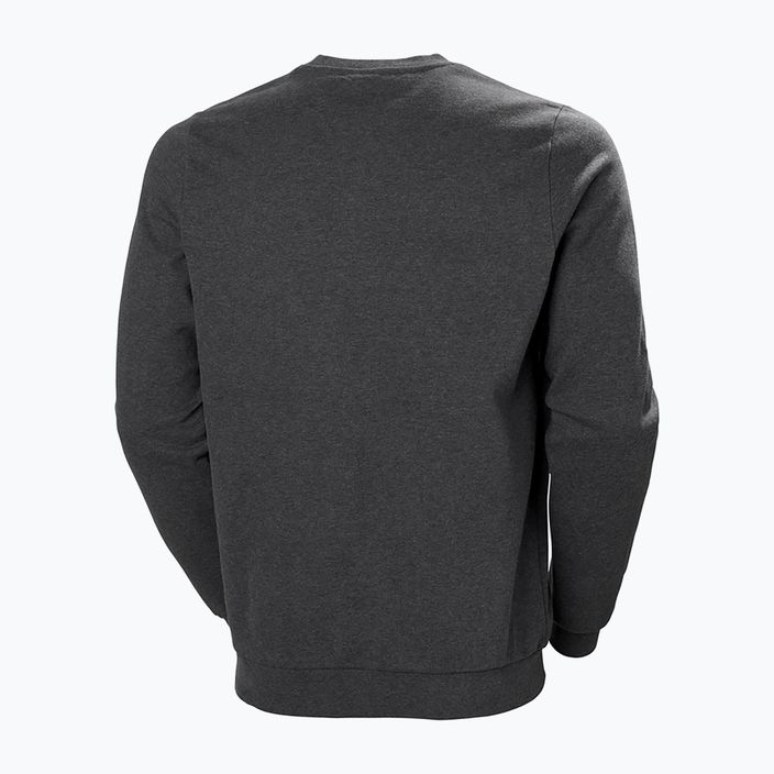 Мъжки пуловер Helly Hansen Arctic Ocean Sweater сив 30364_980 5