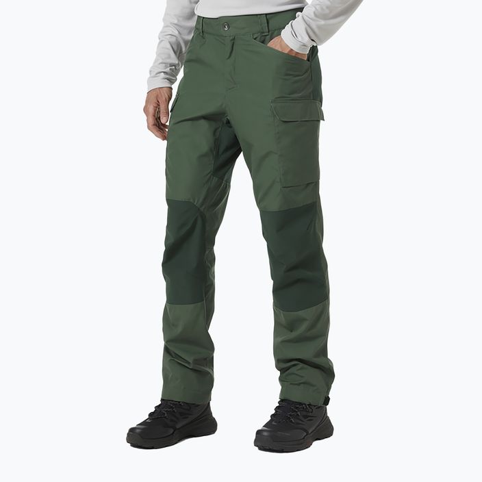 Helly Hansen мъжки панталон за трекинг Vandre Tur green 62698_476