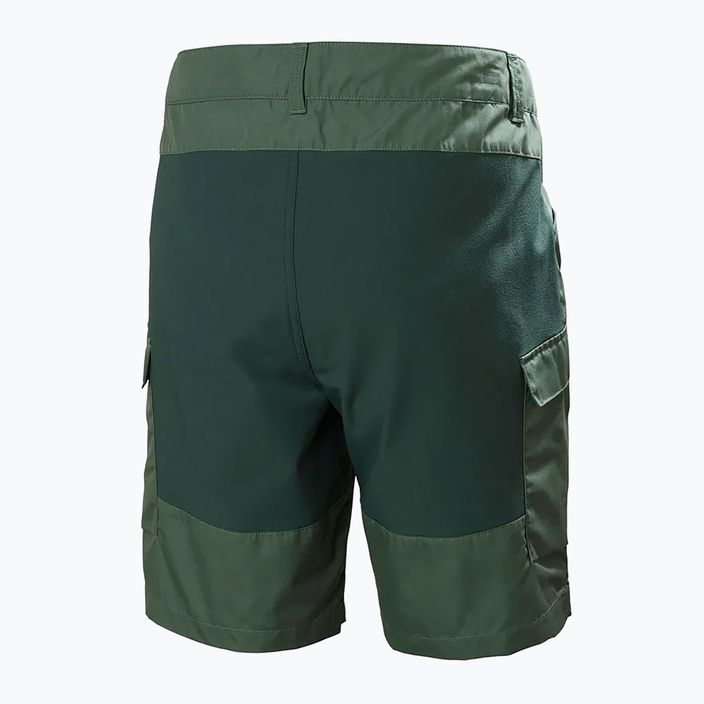 Helly Hansen мъжки къси панталони за трекинг Vandre Cargo green 62699_476 6