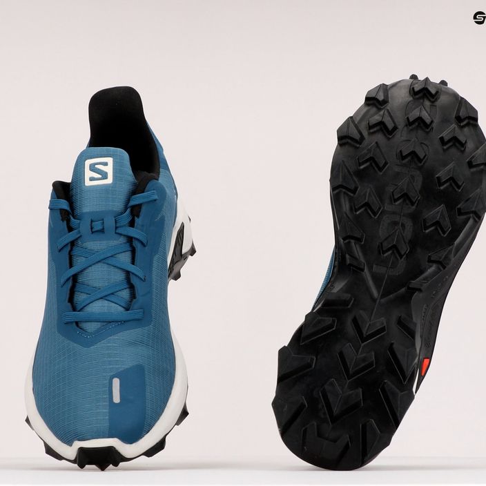 Мъжки обувки за пътеки Salomon Alphacross 3 blue L41599700 11
