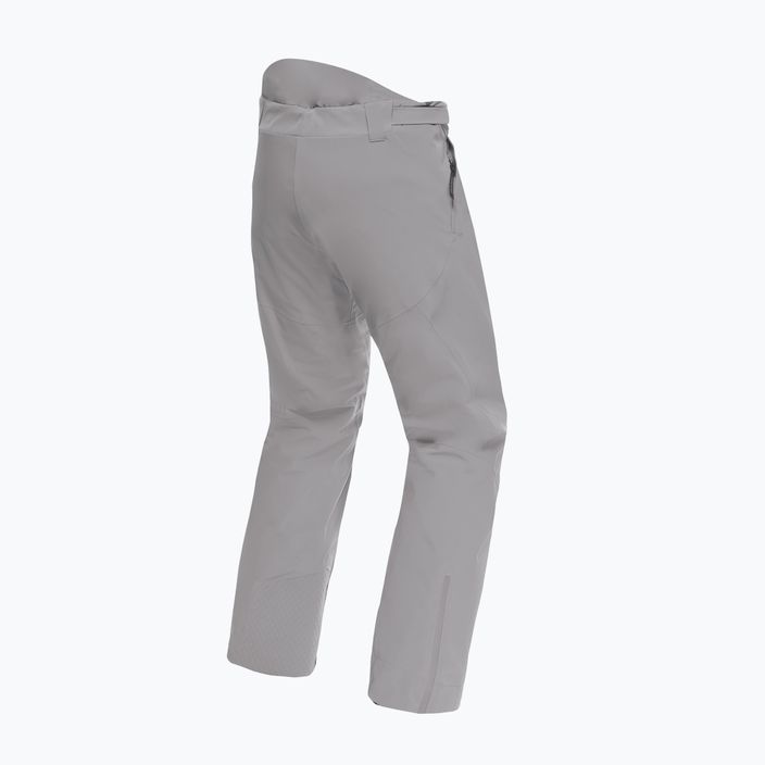 Мъжки ски панталони Dainese Dermizax Ev silver/filigree 7