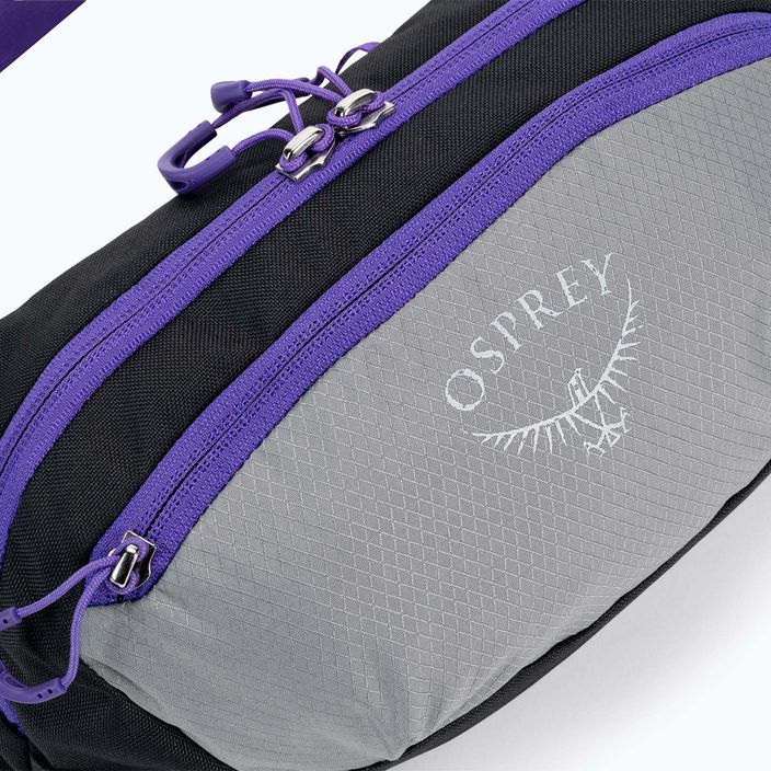 Osprey Daylite Waist 2L сиво-виолетова бъбрековидна торбичка 10004202 4