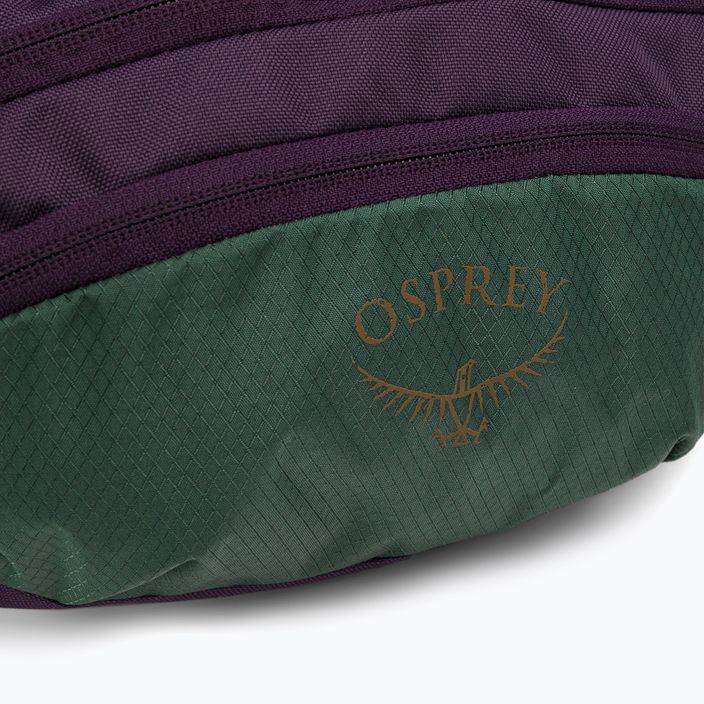 Osprey Daylite Waist 2L лилава чанта за бъбреци 10004623 6