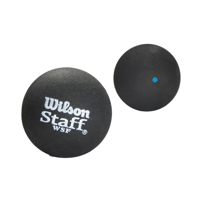 Wilson Staff Squash 2 Ball Bl Dot black WRT617500+ 2