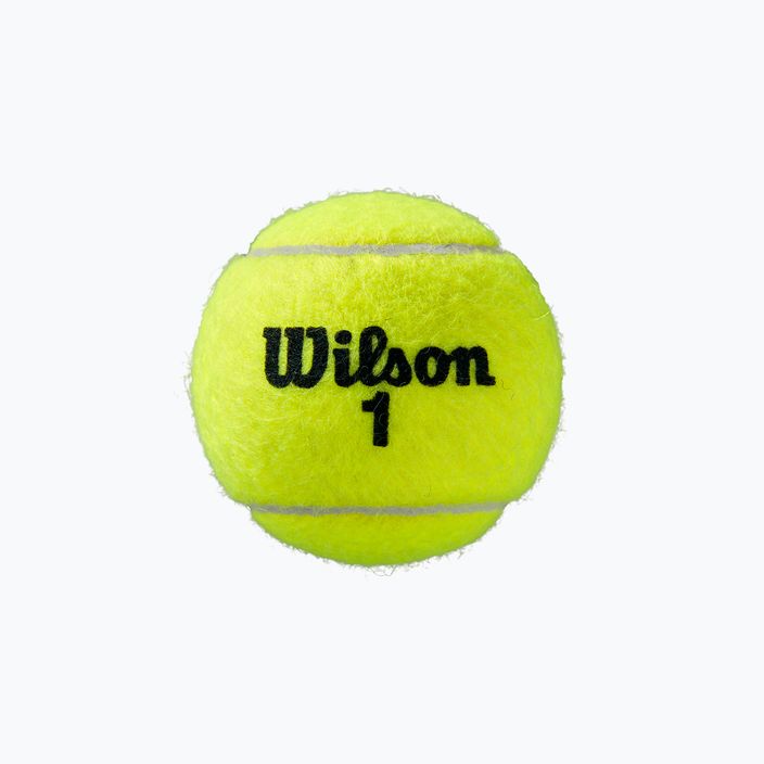 Wilson Roland Garros Clay Ct топки за тенис 4 бр. жълти WRT115000 3